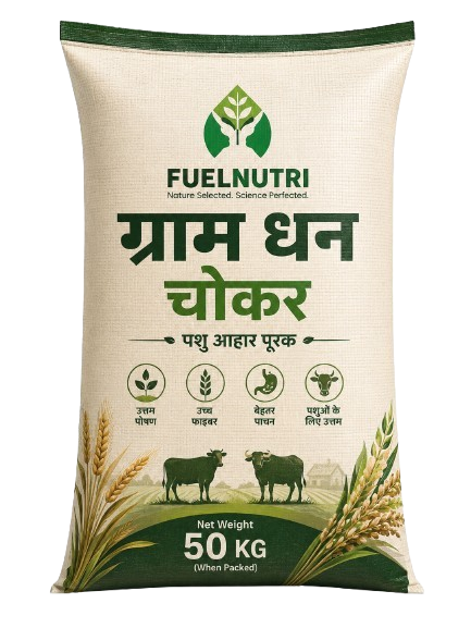 Gram Dhan Chokar
