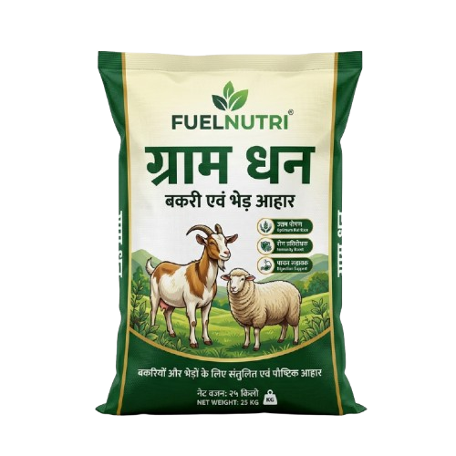 Gram Dhan Goat and Sheep Feed